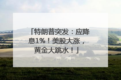 特朗普突发：应降息1%！美股大涨，黄金大跳水！