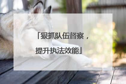 狠抓队伍督察，提升执法效能