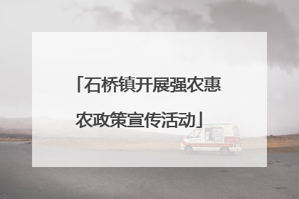 石桥镇开展强农惠农政策宣传活动
