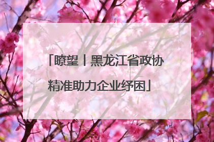瞭望丨黑龙江省政协精准助力企业纾困