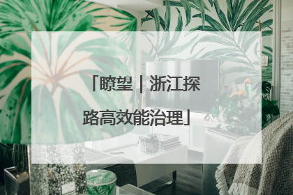 瞭望｜浙江探路高效能治理