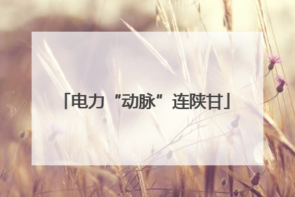 电力“动脉”连陕甘