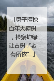 男子擅挖百年大樟树，检察护绿让古树“老有所依”
