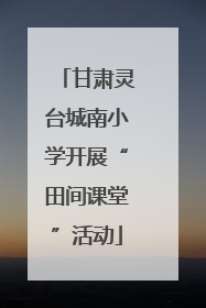 甘肃灵台城南小学开展“田间课堂”活动