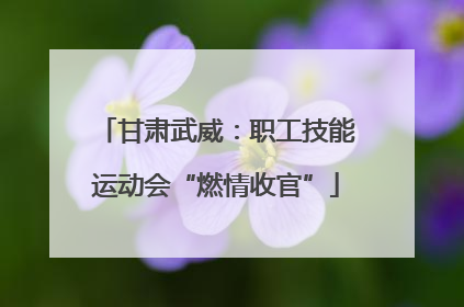 甘肃武威：职工技能运动会“燃情收官”