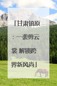 甘肃镇原：一袭剪云裳 解锁跨界新风尚