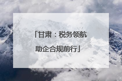 甘肃：税务领航 助企合规前行