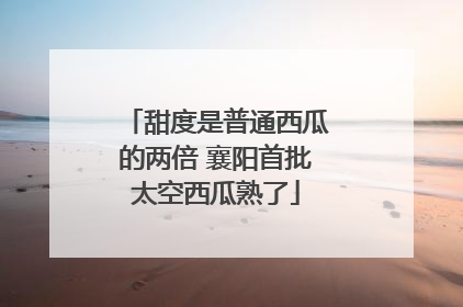 甜度是普通西瓜的两倍 襄阳首批太空西瓜熟了