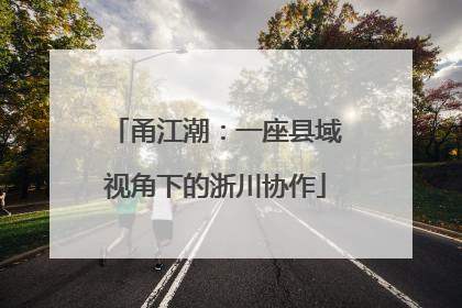 甬江潮：一座县域视角下的浙川协作