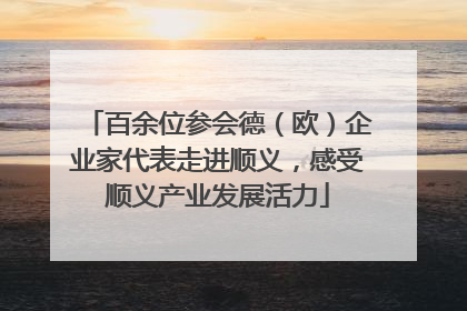 百余位参会德（欧）企业家代表走进顺义，感受顺义产业发展活力