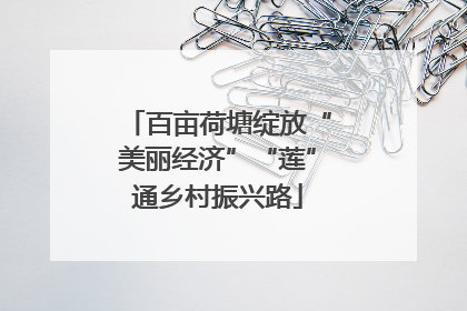 百亩荷塘绽放“美丽经济”“莲”通乡村振兴路