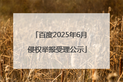 百度2025年6月侵权举报受理公示
