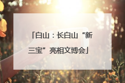 白山：长白山“新三宝”亮相文博会