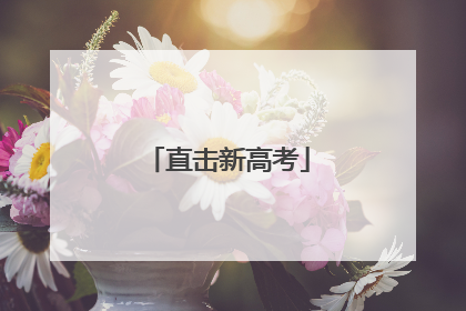 直击新高考