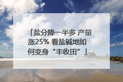 盐分降一半多 产量涨25% 看盐碱地如何变身“丰收田”