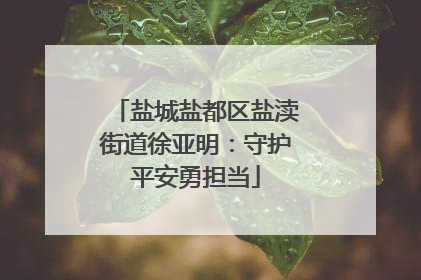 盐城盐都区盐渎街道徐亚明：守护平安勇担当