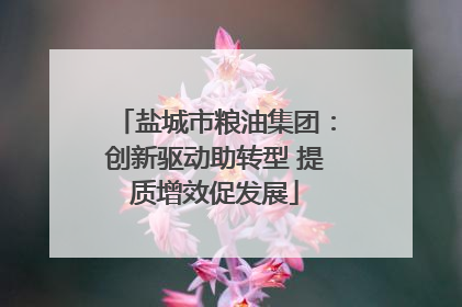 盐城市粮油集团：创新驱动助转型 提质增效促发展