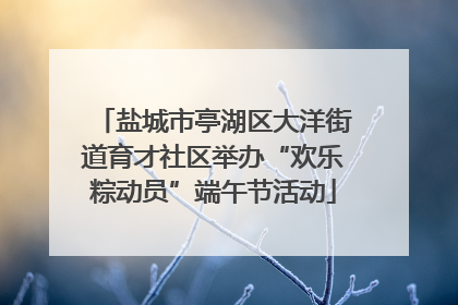 盐城市亭湖区大洋街道育才社区举办“欢乐粽动员”端午节活动