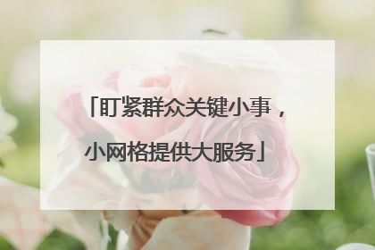 盯紧群众关键小事，小网格提供大服务