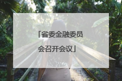省委金融委员会召开会议
