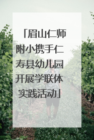 眉山仁师附小携手仁寿县幼儿园开展学联体实践活动
