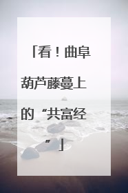 看！曲阜葫芦藤蔓上的“共富经”