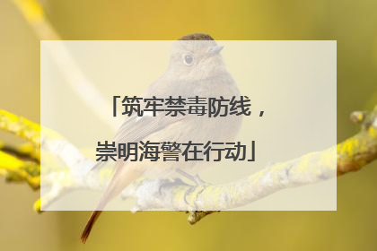 筑牢禁毒防线，崇明海警在行动