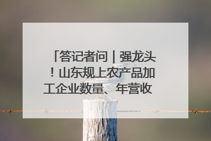 答记者问｜强龙头！山东规上农产品加工企业数量、年营收均居全国首位