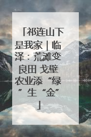 祁连山下是我家｜临泽：荒滩变良田 戈壁农业添“绿”生“金”