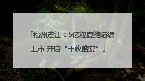 福州连江：5亿粒夏鲍陆续上市 开启“丰收盛宴”