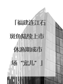 福建连江石斑鱼陆续上市 休渔期成市场“宠儿”