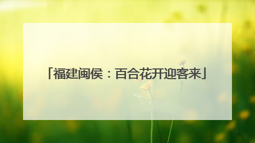 福建闽侯：百合花开迎客来