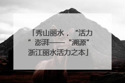 秀山丽水，“活力”澎湃——“溯源”浙江丽水活力之本