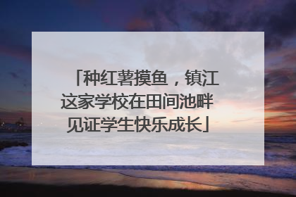 种红薯摸鱼，镇江这家学校在田间池畔见证学生快乐成长