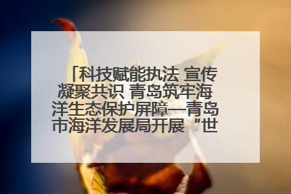 科技赋能执法 宣传凝聚共识 青岛筑牢海洋生态保护屏障—青岛市海洋发展局开展“世界海洋日”和“全国海洋宣传日”宣传活动