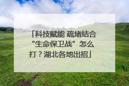 科技赋能 疏堵结合 “生命保卫战”怎么打？湖北各地出招