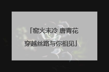 窑火未冷 唐青花穿越丝路与你相见
