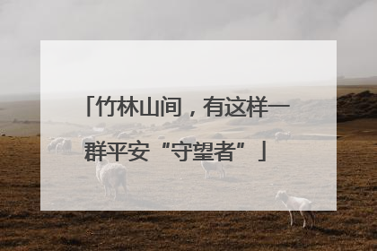 竹林山间，有这样一群平安“守望者”