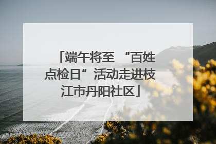 端午将至 “百姓点检日”活动走进枝江市丹阳社区
