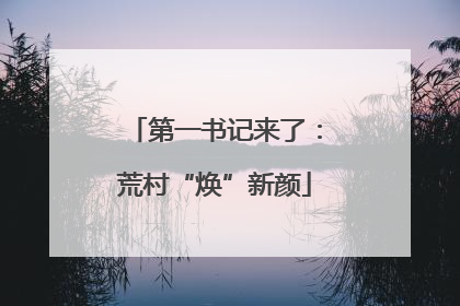 第一书记来了：荒村“焕”新颜