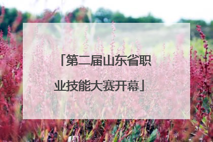 第二届山东省职业技能大赛开幕