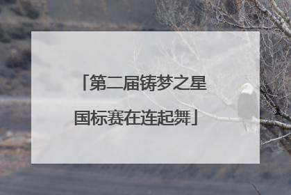 第二届铸梦之星国标赛在连起舞