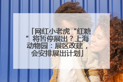 网红小老虎“红糖”将暂停展出？上海动物园：展区改建，会安排展出计划