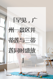 罕见，广州一景区并蒂莲与三蒂莲同时盛放