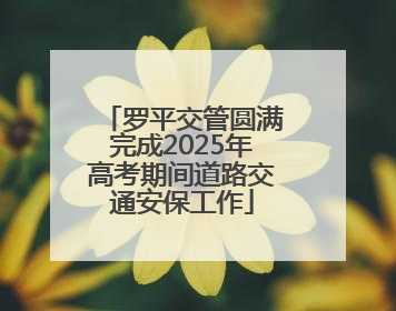 罗平交管圆满完成2025年高考期间道路交通安保工作