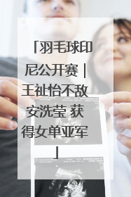 羽毛球印尼公开赛｜王祉怡不敌安洗莹 获得女单亚军