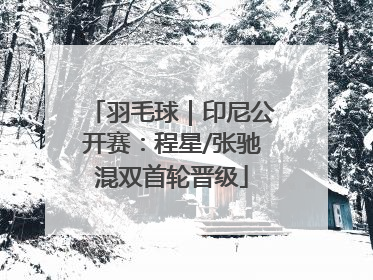 羽毛球｜印尼公开赛：程星/张驰混双首轮晋级