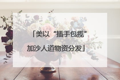 美以“插手包揽”加沙人道物资分发
