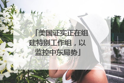 美国证实正在组建特别工作组，以监控中东局势