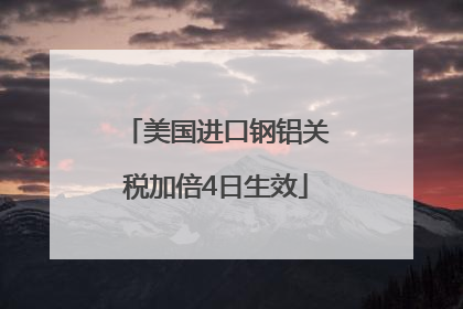 美国进口钢铝关税加倍4日生效